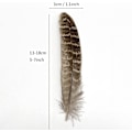 Miniatyrbillede 2 af 5: 100 stk. Naturfarvede Fasanfjer 13-18 cm Plettede Vinge Penfjer Til Hatte Håndværk Tøj Maske Dekoration Festpynt Tilbehør