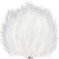 Miniatyrbillede 1 af 5: 200 stk. bløde kalkun Marabou fjer 10-15 cm til håndværk drømmefanger dekoration naturlige bløde kalkun Marabou fjer, hvid