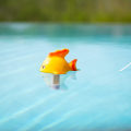 Miniatyrbild 3 av 5: Flytande pooltermometer | Fisk | Flytande pooltermometer Analog termometer för vatten