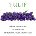 Miniatyrbilde 4 av 4: Kunstig Tulipan Fake Holland Mini Tulip Real Touch Blomster 24 stk For DIY Hjemmefest Bryllupsdekor (blå)
