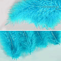 Miniatyrbillede 3 af 5: 100 stk. bløde kalkun Marabou fjer 10-15 cm til håndværk drømmefanger dekoration naturlige bløde kalkun Marabou fjer, aqua blå