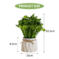 Miniatyrbilde 2 av 5: Plastpotter, Gresskuler, Grønne Planter, Potteplanter, Simuleringsblomster, Kreative Ornamenter, Kunstige Planter style1