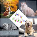 Miniatyrbild 4 av 5: Kattkrageklockor Högljudda Hundklockor Träningscharm Hängsmycken För Husdjur Valp Katt Halsband Krage