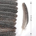 Miniatyrbillede 2 af 5: 24 stk. Naturlige Plettede Fjer Perlehøne Vinge Fjer 15-20 cm Bulk Til Håndværk Tøj Smykker DIY Dekoration Perlehøne Vinge Fjer