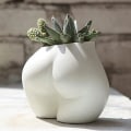 Pikkukuva 4 / 5: Body Plant Pot Butt Vase, Naishahmon muotoiset kukkaruukut viemäröintirei'illä, moderni boho-muotoilu