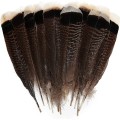 Miniatyrbild 1 av 5: 24 st naturliga vilda kalkonfjädrar Quill Bulk 6-8 tum 15-20 cm för DIY-hantverksprojekt Samling Bröllopsdekoration Vilda kalkonfjädrar