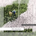 Miniatyrbilde 3 av 4: Enkel Blomst Baderom Absorberende Sklisikker Matte, Frisk Inngangsmatte til Hjemmet, Gulvmatte til Soverom, Dør