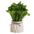 Miniatyrbilde 1 av 5: Plastpotter, Gresskuler, Grønne Planter, Potteplanter, Simuleringsblomster, Kreative Ornamenter, Kunstige Planter style1