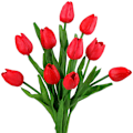Miniatyrbillede 1 af 5: 6 Stængler af Real Touch Tulip Kunstige Blomster Buket, Perfekt til Bryllup, Brud, Fest, Hjem, Ferier, Have