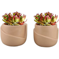 Miniatyrbillede 1 af 5: Sæt med 2 keramiske urtepotter - Irregulær form - Kreativ - Til små planter, kaktusser (a + B) Style 3