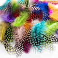 Miniatyrbild 3 av 5: Craft Feathers 300 st färgglada fjädrar för hantverk Diy bröllop hemfest dekorationer