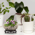 Miniatyrbillede 2 af 5: Store keramiske sukkulentpotter med præsentationsstativ kinesisk tuschmaleri design blomstervase