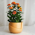 Miniatyrbillede 4 af 5: Sæt med 2 keramiske urtepotter - Irregulær form - Kreativ - Til små planter, kaktusser (a + B) Style 3