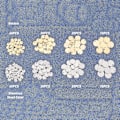 Pikkukuva 5 / 5: 200 kpl 2 Väriä Litteä Pyöreä Riipus Ruostumattomasta Teräksestä Tyhjä Lätkä Riipukset Hypoallergeeniset Metalliriipukset DIY Korujen Valmistukseen 6/8/10/12mm