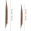 Miniatyrbillede 2 af 5: 20 stk. Naturlige Fasanfjer - Fasan Hale 12-14 tommer (30-35 cm) Til DIY Dekoration (fasan hale)