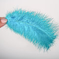 Miniatyrbillede 4 af 5: 100 stk. bløde kalkun Marabou fjer 10-15 cm til håndværk drømmefanger dekoration naturlige bløde kalkun Marabou fjer, aqua blå