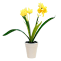 Miniatyrbild 1 av 5: Tvåhövdad Narcissus Liten Bonsai Kreativa Prydnader Simulering Blomdekorationer Konstgjord Simulering Blom Grön Växtkrukor yellow