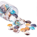 Miniatyrbilde 3 av 5: Fargede Naturlige Skjellperler Aqua