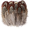 Miniatyrbillede 2 af 5: 50 stk. naturlige små fjer til håndværk, smykkefremstilling, drømmefangerdekoration (fasan 4)