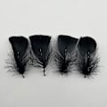 Miniatyrbillede 3 af 4: 200 stk. Sorte Håndværksfjer 5-8 cm Små Gåsefjer Bulk Til Festdekoration Maske Dekoration Drømmefangere Smykkefremstilling