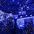 Miniatyrbillede 3 af 5: Jule Mini Lyskæde, 50 LED Lysende Fe Lys Med UL Certificering Blue