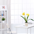 Miniatyrbild 3 av 5: Tvåhövdad Narcissus Liten Bonsai Kreativa Prydnader Simulering Blomdekorationer Konstgjord Simulering Blom Grön Växtkrukor yellow