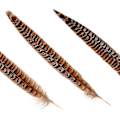 Miniatyrbillede 2 af 5: 20 stk. Naturlige Fasanfjer, Hunhale Fjer 15-20 cm Til DIY Håndværk Bryllupsfest Bordpynt Julehjem Dekoration
