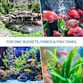 Miniatyrbild 5 av 5: Akvarium 10cm Smärta Luftsten Bubbelspridare Släppverktyg För Luftpumpar Fisk Tankar Hinkar Dammar Och Tankar Dwc-2 Pack