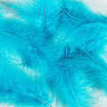 Miniatyrbillede 5 af 5: 100 stk. bløde kalkun Marabou fjer 10-15 cm til håndværk drømmefanger dekoration naturlige bløde kalkun Marabou fjer, aqua blå