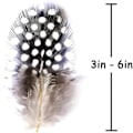 Miniatyrbillede 3 af 5: Naturlige kalkun småplettede fasanfjer til håndværk blomsterarrangementer bryllup hjemmefest dekorationer 7,5-15 cm (100 stk)
