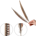Miniatyrbillede 4 af 5: 20 stk. Naturlige Fasanfjer - Fasan Hale 12-14 tommer (30-35 cm) Til DIY Dekoration (fasan hale)