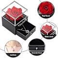 Miniatyrbillede 3 af 5: Præserveret rød ægte rose med 'Jeg elsker dig'-halskæde på 100 sprog, fortryllede blomstergaver til mor, kone, kæreste Rose gold