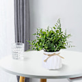 Miniatyrbilde 3 av 5: Plastpotter, Gresskuler, Grønne Planter, Potteplanter, Simuleringsblomster, Kreative Ornamenter, Kunstige Planter style2
