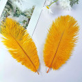 Miniatyrbild 2 av 5: 20 st Natura Gold strutsfjädrar 12-14 tum (30-35 cm) Bulk för DIY Thanksgiving-dekorationer, bröllopsfestens mittpunkter, Gatsby-dekorationer