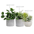 Miniatyrbillede 5 af 5: Plantevækstlampe LED-lys til indendørs sukkulenter