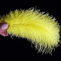 Miniatyrbillede 4 af 5: 100 stk. bløde kalkun Marabou fjer 10-15 cm til håndværk drømmefanger dekoration naturlige bløde kalkun Marabou fjer, gul