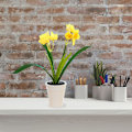 Miniatyrbild 4 av 5: Tvåhövdad Narcissus Liten Bonsai Kreativa Prydnader Simulering Blomdekorationer Konstgjord Simulering Blom Grön Växtkrukor yellow