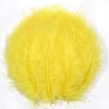 Miniatyrbillede 1 af 5: 100 stk. bløde kalkun Marabou fjer 10-15 cm til håndværk drømmefanger dekoration naturlige bløde kalkun Marabou fjer, gul