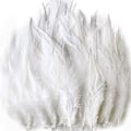 Miniatyrbillede 1 af 5: 100 stk. Hvide Sadel Hackle Hane Fjer Løse Bulk 5-7 Tommer 12-17 cm Til DIY Drømmefanger Dekoration Naturlig Sadel Hackle Hane Fjer