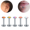 Miniatyrbillede 2 af 3: 25 stk. Gradient Farve Indre Tænder Øreringe Symfoni Hestesko Ring Blinkende Rustfrit Stål Læbepiercinger Tungepiercinger