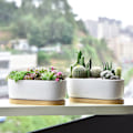 Miniatyrbild 3 av 5: 1/2 2 stycken Andningsbar keramikkruka för suckulenta växter present till Special support tray 1 Pc