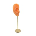 Miniatyrbild 3 av 5: 1/2/3 Örhänge Display Stand Human Ear Model Stud Holder Showcase Right Normal Skin Height: 18cm 1Set