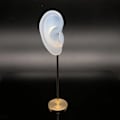 Miniatyrbild 3 av 5: 1/2/3 Örhänge Display Stand Human Ear Model Stud Holder Showcase Right Translucent Height: 18cm 1Set