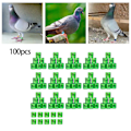 Miniatyrbild 3 av 5: 1/2/3/5 100st 8mm 2023 För duvring för de flesta vuxna fåglar Grass Green Netherlands 100 pcs 1 Pc