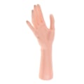 Miniatyrbild 2 av 5: 1/2 kvinnlig skyltdocka höger hand för smycken armband Ring handske Skin 1Set