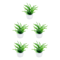 Miniatyrbild 2 av 5: 1/2/3/5 1/12 Konstgjord Bonsai Modell Micro Landscape Sovrum Chlorophytum 1cm 5Set
