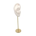 Miniatyrbild 5 av 5: 1/2/3 Örhänge Display Stand Human Ear Model Stud Holder Showcase Right Ear White Height: 18cm 1Set