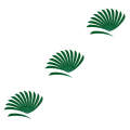Miniatyrbild 5 av 5: 1/2/3/5 12 stycken För Bågskytte Jaktfjäder Fletching Right Dark Green 3Set