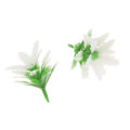 Miniatyrbild 5 av 5: 1/2/3/5 50st Model Weeds for Architecture Train Railway Wargame White 1Set