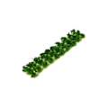 Miniatyrbild 1 av 5: 1/2/3/5 Miniature Cluster För Grass Grass Tufts Scenery Model Jungle Green 30 Pcs 1Set